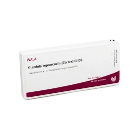 GLANDULA SUPRARENALES cortex GL D 6 Ampullen – PZN 3357151 (PZN 3357151) из Германии