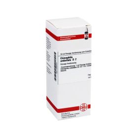 CHIMAPHILA UMBELLATA D 2 Dilution – PZN 2896526 (PZN 2896526) из Германии