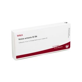 VESICA URINARIA GL D 6 Ampullen – PZN 2831337 (PZN 2831337) из Германии
