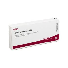 NERVUS TRIGEMINUS GL D 6 Ampullen – PZN 2830160 (PZN 2830160) из Германии
