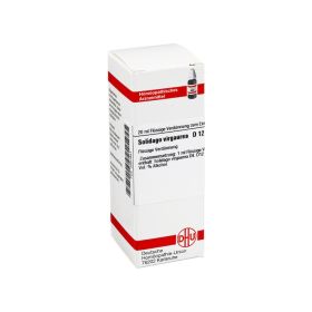 SOLIDAGO VIRGAUREA D 12 Dilution – PZN 2931441 (PZN 2931441) из Германии