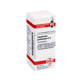 EUPATORIUM PERFOLIATUM C 6 Globuli – PZN 4216748 (PZN 4216748) из Германии