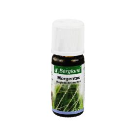 MORGENTAU Duftöl – PZN 4592888 (PZN 4592888) из Германии