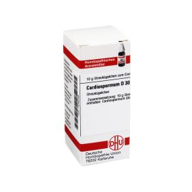 CARDIOSPERMUM D 30 Globuli – PZN 7246738 (PZN 7246738) из Германии