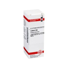 LEDUM C 30 Dilution – PZN 7172135 (PZN 7172135) из Германии
