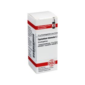 EQUISETUM HIEMALE C 30 Globuli – PZN 7167269 (PZN 7167269) из Германии