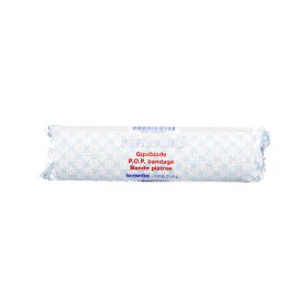 GIPSBINDE Temedia spezial 16 cmx2 m – PZN 7280787 (PZN 7280787) из Германии