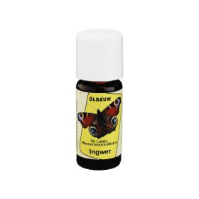 INGWER ÖL – PZN 6984397 (PZN 6984397) из Германии