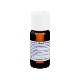 CARUM CARVI ethanol.Decoctum Urtinktur D 1 – PZN 7021502 (PZN 7021502) из Германии