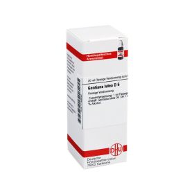 GENTIANA LUTEA D 6 Dilution – PZN 7168642 (PZN 7168642) из Германии