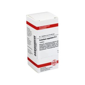 CALADIUM seguinum D 2 Tabletten – PZN 7162697 (PZN 7162697) из Германии
