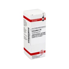 COLOCYNTHIS C 30 Dilution – PZN 7165431 (PZN 7165431) из Германии