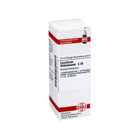 CAUSTICUM HAHNEMANNI C 30 Dilution – PZN 7163768 (PZN 7163768) из Германии