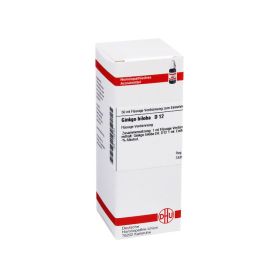 GINKGO BILOBA D 12 Dilution – PZN 7168754 (PZN 7168754) из Германии