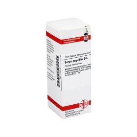 SERUM ANGUILLAE D 6 Dilution – PZN 7180181 (PZN 7180181) из Германии