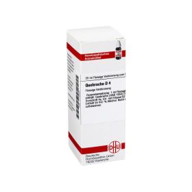 QUEBRACHO D 4 Dilution – PZN 7178422 (PZN 7178422) из Германии