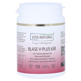 BLASE V-Plus 650 mg Vegikapseln – PZN 16665598 (PZN 16665598) из Германии
