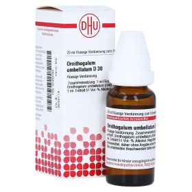 ORNITHOGALUM UMBELLATUM D 30 Dilution – PZN 7458765 (PZN 7458765) из Германии