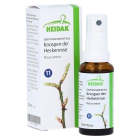 GEMMOMAZERAT Rosa canina Spray – PZN 13306232 (PZN 13306232) из Германии