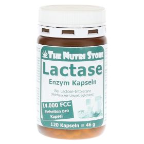 LACTASE 14.000 FCC Enzym Kapseln – PZN 11321902 (PZN 11321902) из Германии