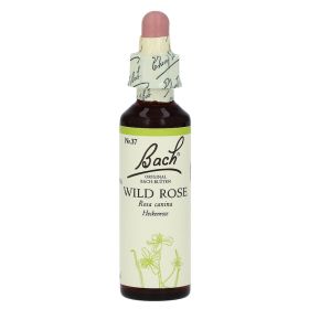 Bachblüten Wild Rose Tropfen – PZN 170127 (PZN 170127) из Германии