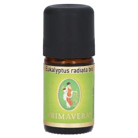 PRIMAVERA Eukalyptus Öl Radiata kbA – PZN 719889 (PZN 719889) из Германии
