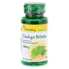 GINKGO BILOBA 120 mg Kapseln – PZN 10063645 (PZN 10063645) из Германии