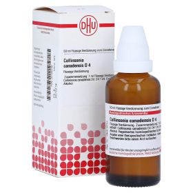 COLLINSONIA CANADENSIS D 4 Dilution – PZN 7165336 (PZN 7165336) из Германии