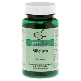 Silicium Kapseln – PZN 7775543 (PZN 7775543) из Германии