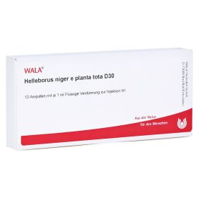 HELLEBORUS NIGER e planta tota D 30 Ampullen – PZN 2884581 (PZN 2884581) из Германии