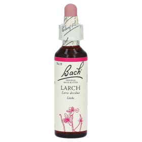 Bachblüten Larch Tropfen – PZN 64595 (PZN 64595) из Германии