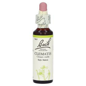 BACHBLÜTEN Clematis Tropfen – PZN 53249 (PZN 53249) из Германии