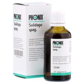 PHÖNIX SOLIDAGO spag.Mischung – PZN 4223725 (PZN 4223725) из Германии