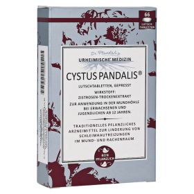 CYSTUS Pandalis Lutschtabletten – PZN 11279005 (PZN 11279005) из Германии