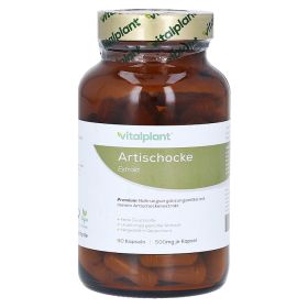 ARTISCHOCKE 500 mg Extrakt Vitalplant Kapseln – PZN 12503947 (PZN 12503947) из Германии