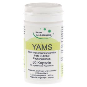 YAMSWURZEL KAPSELN – PZN 2449000 (PZN 2449000) из Германии