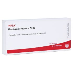 MEMBRANA synovialis GL D 5 Ampullen – PZN 3356051 (PZN 3356051) из Германии