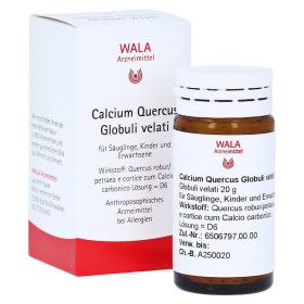 CALCIUM QUERCUS Globuli velati – PZN 81091 (PZN 81091) из Германии
